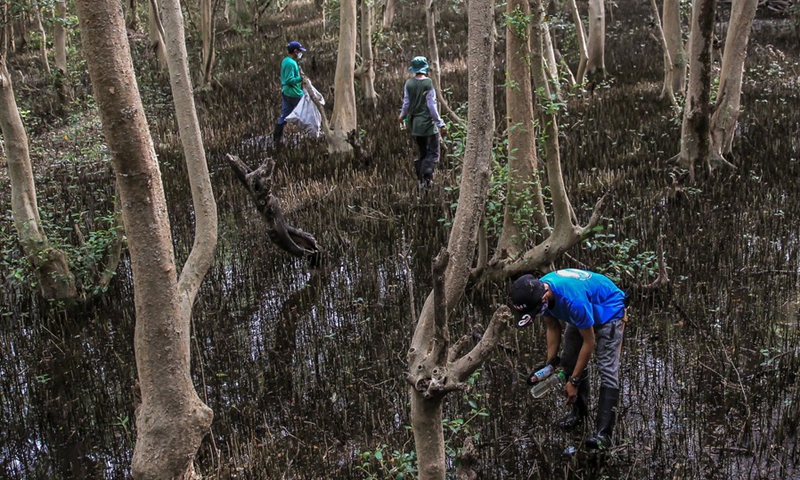 Workers from the Department of Environment and Natural Resources (DENR) clear the fallen branches and pick up the garbage washed from the Manila Bay at the Mangrove Forest of the Las Pinas-Paranaque Wetland Park in Las Pinas City, the Philippines, April 20, 2021.(Photo: Xinhua)