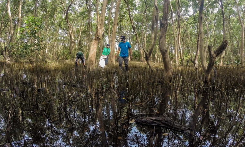 Workers from the Department of Environment and Natural Resources (DENR) clear the fallen branches and pick up the garbage washed from the Manila Bay at the Mangrove Forest of the Las Pinas-Paranaque Wetland Park in Las Pinas City, the Philippines, April 20, 2021.(Photo: Xinhua)