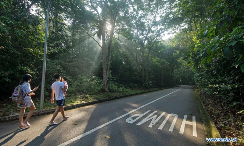 People walk in the forest of the Central Catchment Nature Reserve in Singapore, on April 17, 2021. Earth Day, which falls on April 22 annually, aims to raise public awareness about the environment and calls for people to protect the Earth with action. Photo:Xinhua