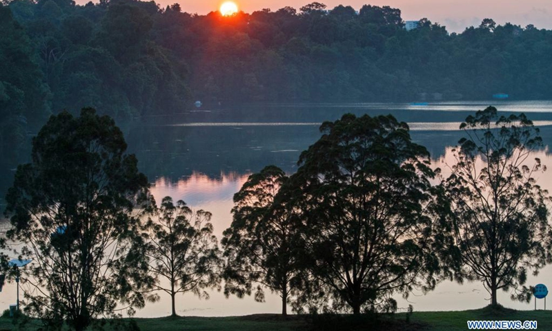 The morning sun rises from the forest in Singapore's Central Catchment Nature Reserve on April 21, 2021.(Photo: Xinhua)