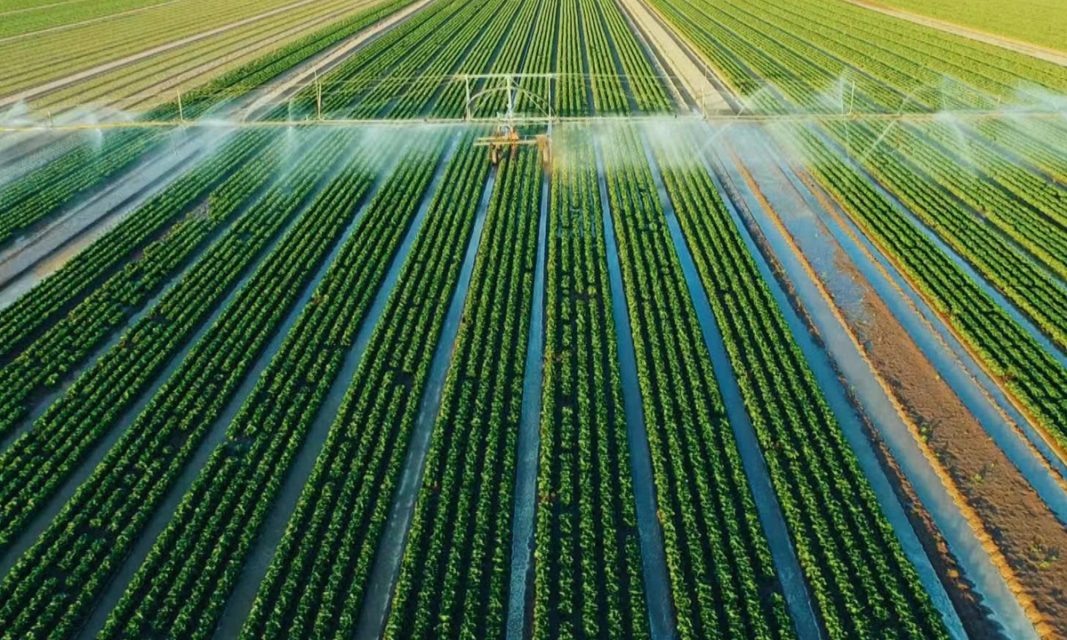 A scene from <em>Day Zero</em> Photo: Courtesy of Tencent