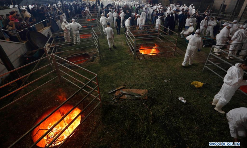 Members of the Samaritan sect participate in the traditional Passover sacrifice on Mount Gerizim, near the West Bank city of Nablus, on April 25, 2021.(Photo: Xinhua)