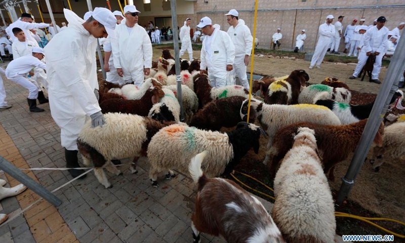 Members of the Samaritan sect participate in the traditional Passover sacrifice on Mount Gerizim, near the West Bank city of Nablus, on April 25, 2021.(Photo: Xinhua)