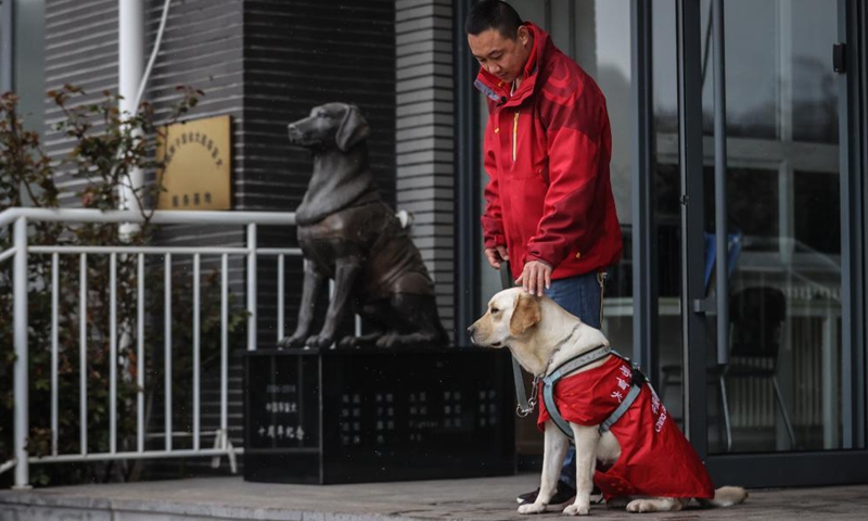 Trainer Fu Mingyan trains a guide dog in Dalian, northeast China's Liaoning Province, April 22, 2021.Photo:Xinhua