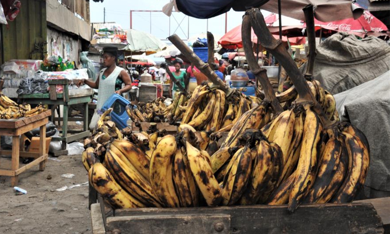 Photo shows raw plantains for sale in a market in Accra, capital of Ghana, on April 27, 2021.Photo:Xinhua