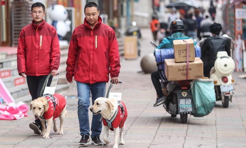 Trainers Fu Mingyan (R) and Jiang Boya train guide dogs on a street in Dalian, northeast China's Liaoning Province, April 23, 2021.Photo:Xinhua