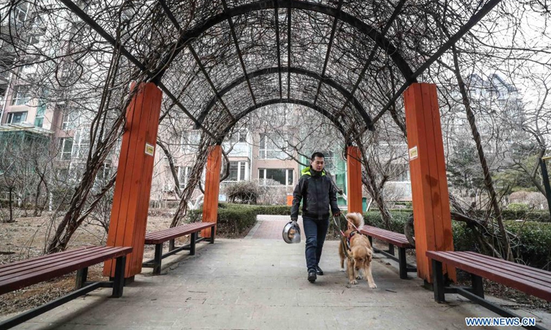 Visually impaired man Wen Shipeng walks with his guide dog in Dalian, northeast China's Liaoning Province, Jan. 13, 2020. Photo:Xinhua