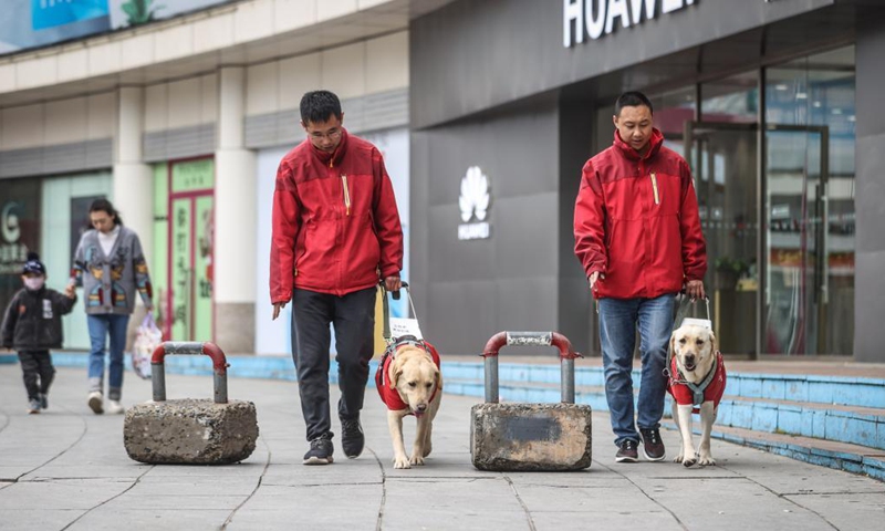 Trainers Fu Mingyan (R) and Jiang Boya train guide dogs on a street in Dalian, northeast China's Liaoning Province, April 23, 2021.Photo:Xinhua