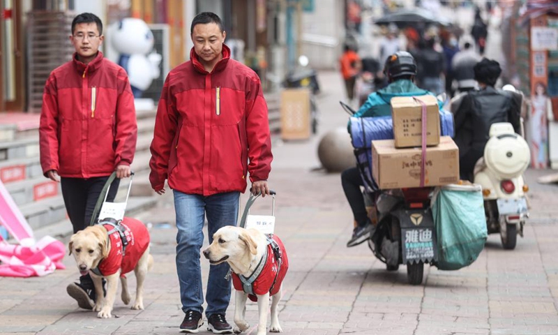 Trainers Fu Mingyan (R) and Jiang Boya train guide dogs on a street in Dalian, northeast China's Liaoning Province, April 23, 2021.Photo:Xinhua