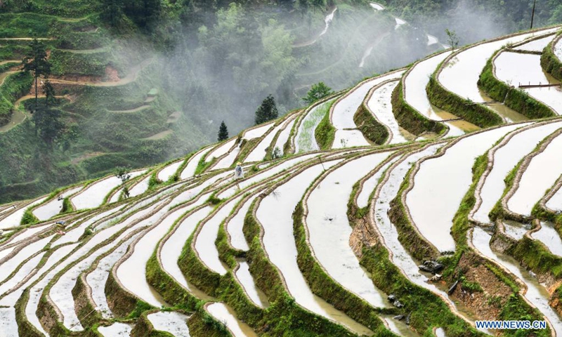 Photo taken on May 4, 2021 shows the terraced fields in Jiaye Village of Congjiang County, southwest China's Guizhou Province.(Photo: Xinhua)