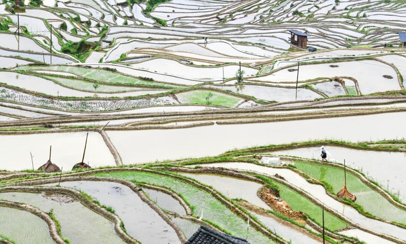 Farmers walk in the terraced fields in Dangniu Village of Congjiang County, southwest China's Guizhou Province, May 4, 2021.(Photo: Xinhua)