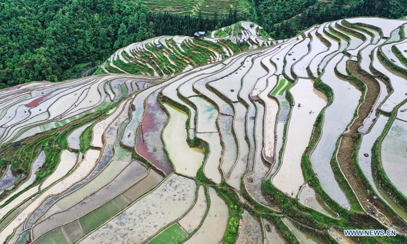 Aerial photo taken on May 4, 2021 shows the terraced fields in Dangniu Village of Congjiang County, southwest China's Guizhou Province.(Photo: Xinhua)