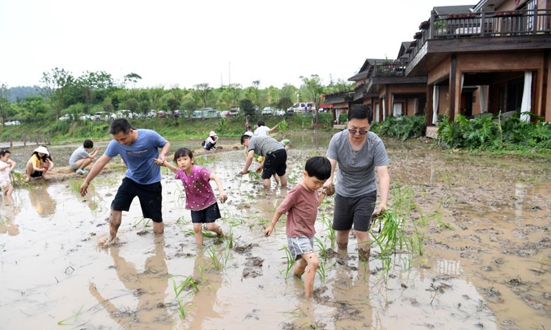 Tourists try transplanting rice seedlings at a scenic spot in Jiangjin District of southwest China's Chongqing, May 4, 2021. Official data showed 230 million domestic tourist trips were made during the five-day Labor Day holiday, up 119.7 percent from last year. (Photo: Xinhua)