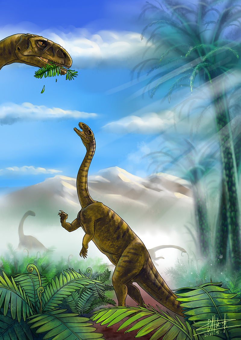 The dinosaur is restored. Photo: Courtesy of Center for Vertebrate Evolutionary Biology of Yunnan University