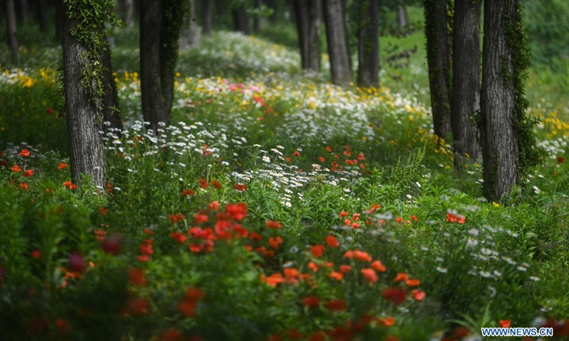 Photo taken on May 7, 2021 shows the scenery in Donglin Town of Wuxing District, Huzhou City, east China's Zhejiang Province.Photo:Xinhua