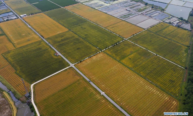 Photo taken on May 7, 2021 shows the scenery in Donglin Town of Wuxing District, Huzhou City, east China's Zhejiang Province.Photo:Xinhua
