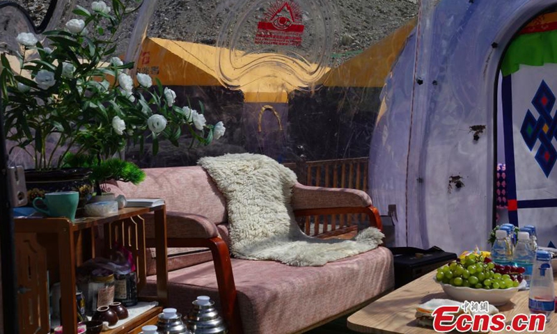 Flowers and fruits are seen in a transparent tent at the base camp on the north slope of Mount Qomolangma, May 9, 2021. Photo: China News Service