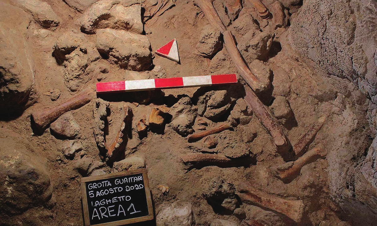 Fossils in the Guattari Cave near Rome Photo: VCG