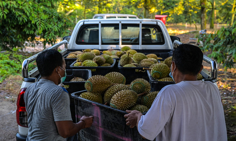 Fruit trade boom between China and BRI countries, supporting local economy - Vimarsana News
