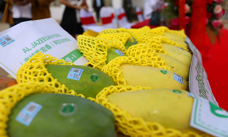China and Cambodia witnessed a ceremony marking the first shipment of Cambodia's fresh mangoes to China in Phnom Penh, Cambodia on May 7, 2021. Photo: VCG