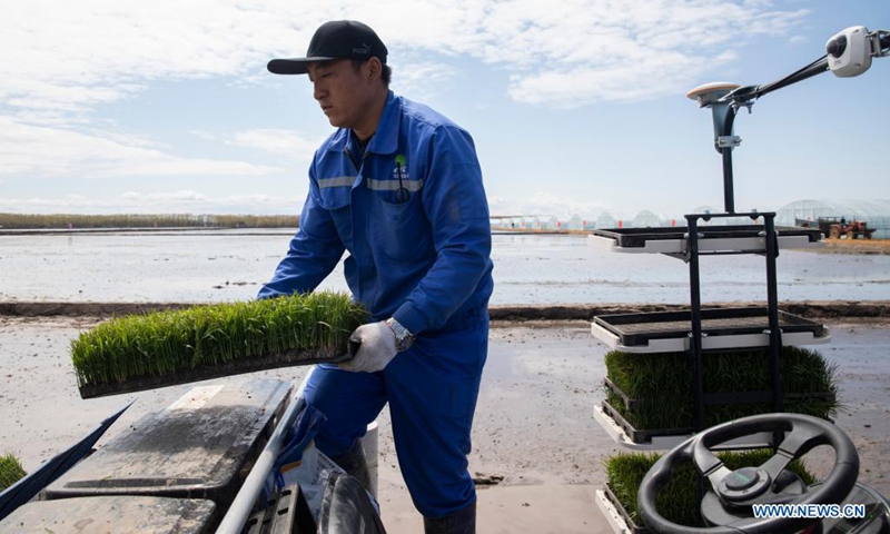 A staff member fills an unmanned transplanter with rice seedlings in a smart agriculture demonstration zone administered by Hongwei Farm Co., Ltd. of Beidahuang Group in northeast China's Heilongjiang Province, May 11, 2021. Equipped with a self-driving system based on the Beidou Navigation Satellite System (BDS), the smart transplanter can independently finish rice transplanting, avoid obstacles and turn around when needed.(Photo: Xinhua)