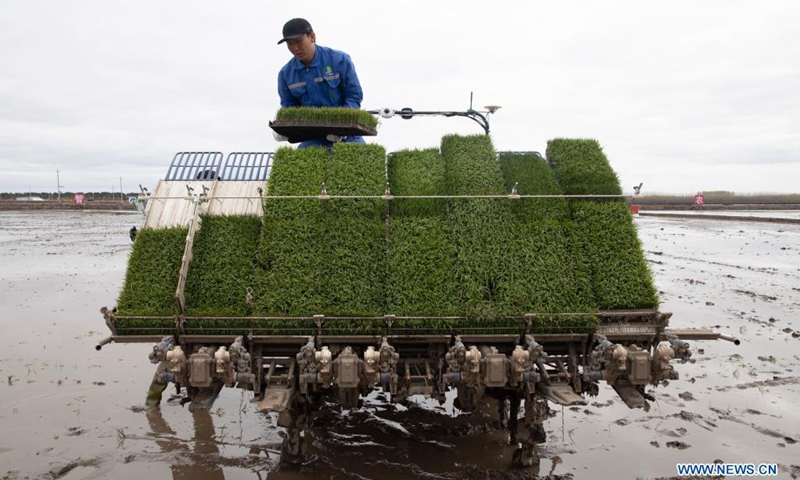 A staff member fills an unmanned transplanter with rice seedlings in a smart agriculture demonstration zone administered by Hongwei Farm Co., Ltd. of Beidahuang Group in northeast China's Heilongjiang Province, May 11, 2021. Equipped with a self-driving system based on the Beidou Navigation Satellite System (BDS), the smart transplanter can independently finish rice transplanting, avoid obstacles and turn around when needed.(Photo: Xinhua)