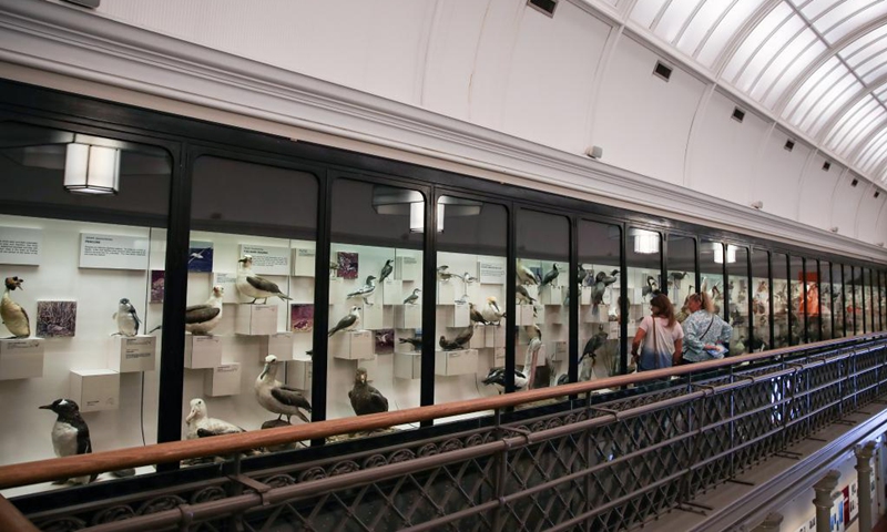 People visit the Australian Museum in Sydney, Australia on May 18, 2021. The Australian Museum is the oldest museum in Australia, with an international reputation in the fields of natural history and anthropology. It was first conceived and developed along the contemporary European model of an encyclopedic warehouse of cultural and natural history and features collections of vertebrate and invertebrate zoology.(Photo: Xinhua)
