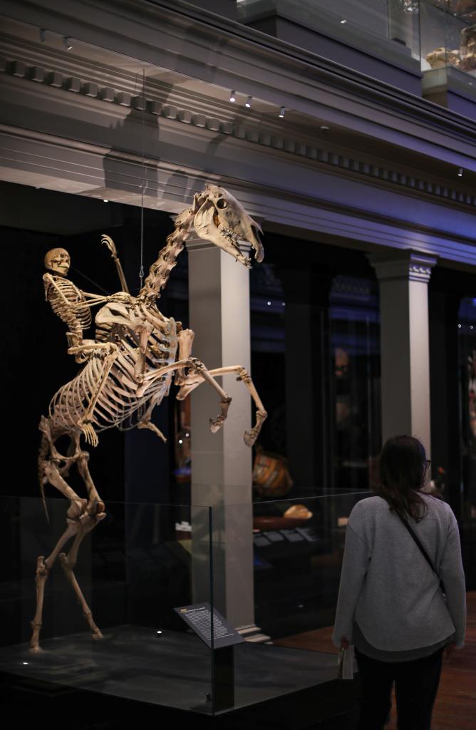 A woman visits the Australian Museum in Sydney, Australia on May 18, 2021. The Australian Museum is the oldest museum in Australia, with an international reputation in the fields of natural history and anthropology. It was first conceived and developed along the contemporary European model of an encyclopedic warehouse of cultural and natural history and features collections of vertebrate and invertebrate zoology.(Photo: Xinhua)