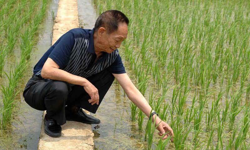 File photo taken on May 10, 2007 shows Yuan Longping inspecting the trial plantation of hybrid rice.(Photo: Xinhua)