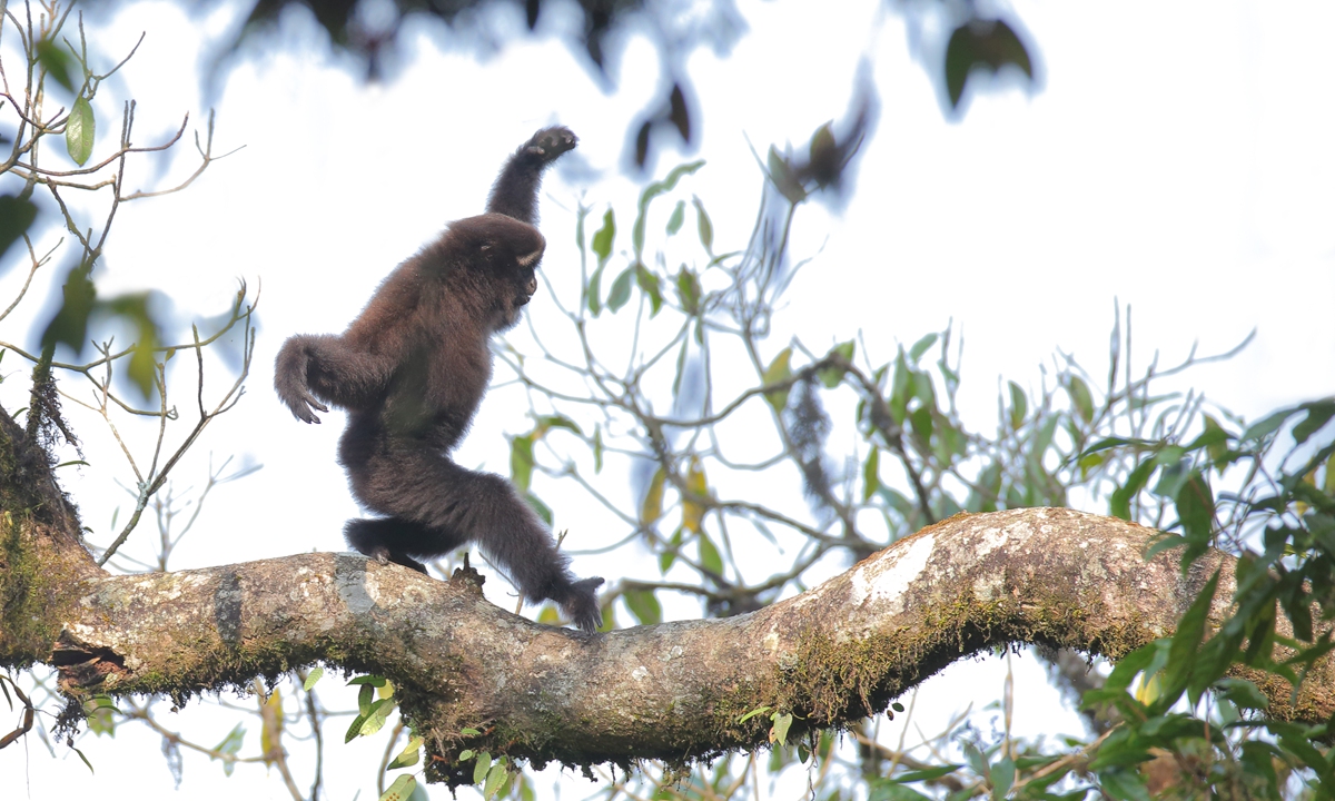 Photo: Courtesy of Zhao Chao, founder of Naturewin