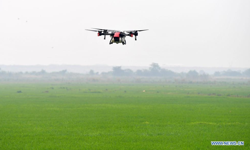 A drone is seen during crop protection works at the rice fields of Jiangxiang Township, Nanchang County, east China's Jiangxi Province, May 25, 2021. Farmers carried out crop protection works by drones to ensure the growth of 788,000 mu (about 52,533 hectares) of rice fields in Nanchang County. (Xinhua/Peng Zhaozhi)