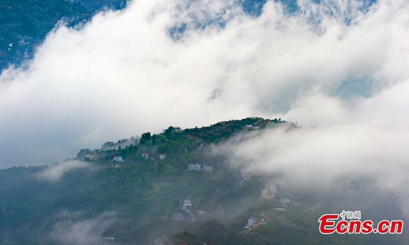 倾盆大雨过后，惊人的云海出现在中国中部湖北的毛平乡。 山脉被云雾笼罩，就像仙境一样。  （中国新闻社/雷勇）