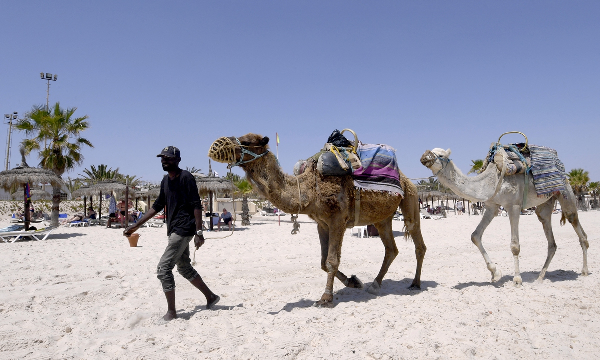A man pulls camels at the beach in the Tunisian Mediterranean resort of Sousse on May 22. Photo: AFP