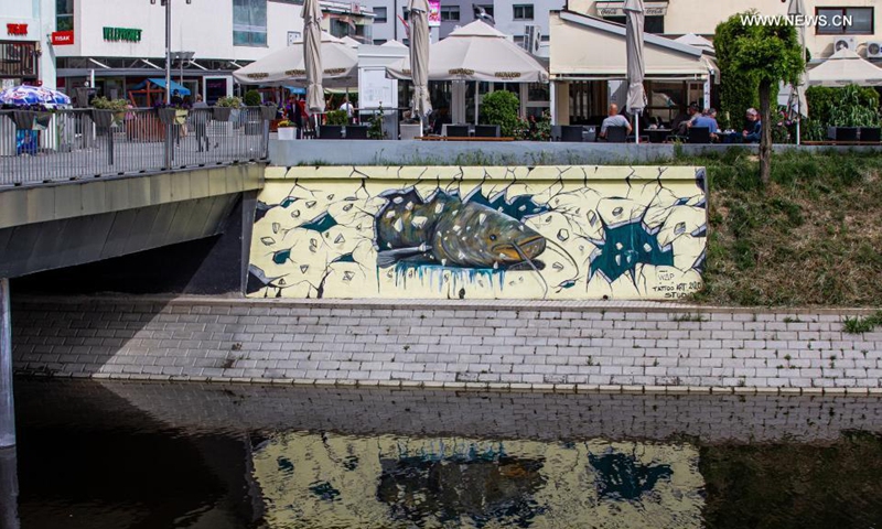 A mural is seen on the river bank in Vukovar, Croatia, May 27, 2021. Street art festival VukovART, which features murals created by world-famous artists on the walls and sidewalks, is held in Vukovar for the fifth year in a row. Photo: Xinhua