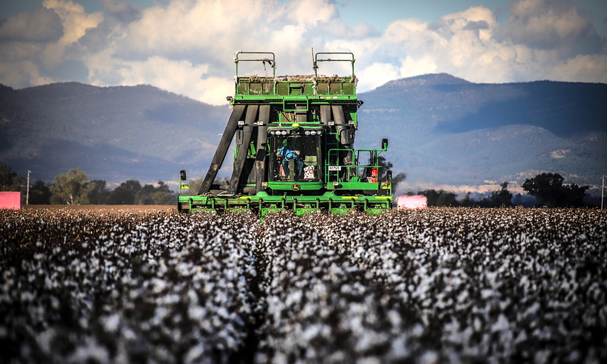 Australia cotton Photo:VCG