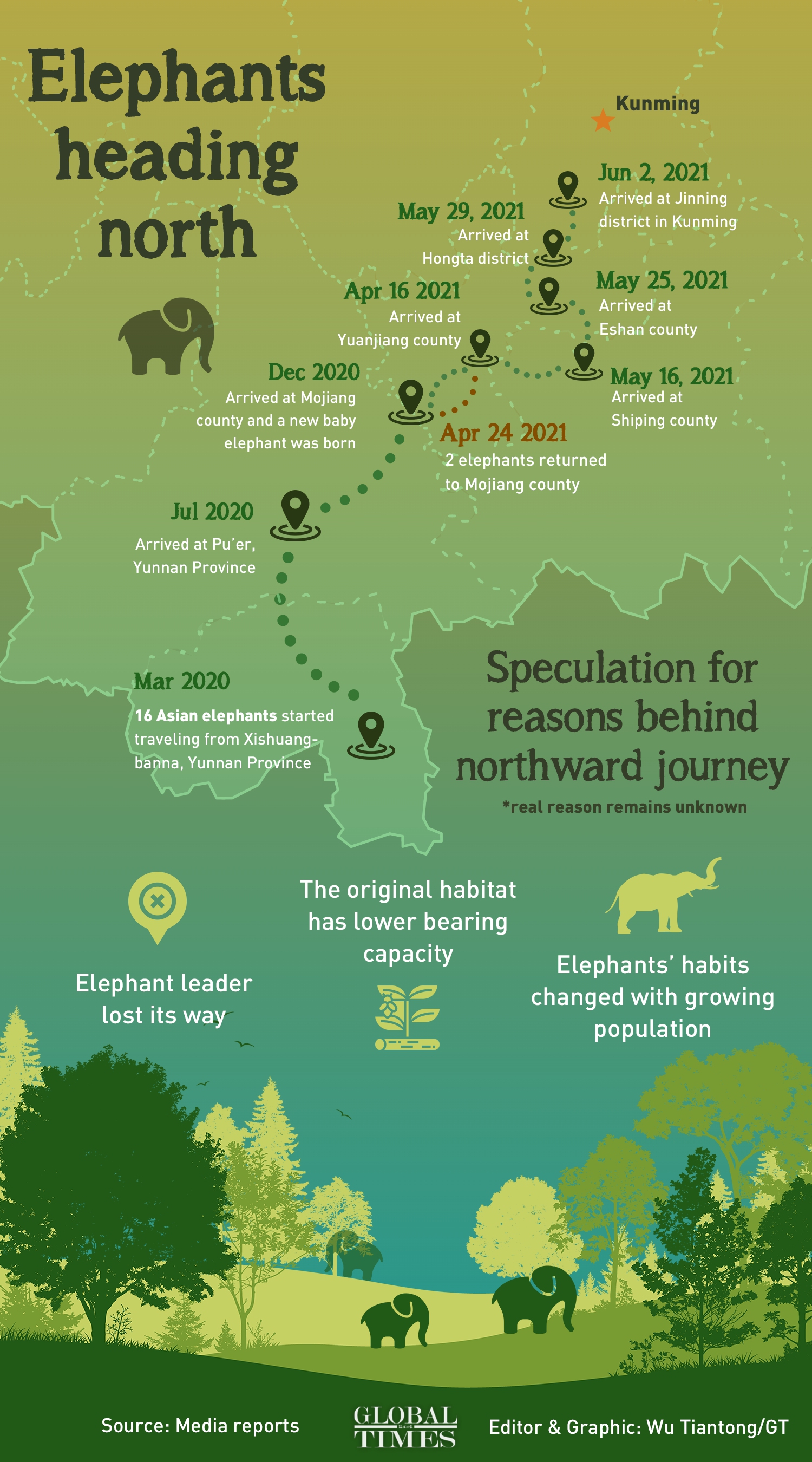 Elephants heading north Infographic: Wu Tiantong/GT