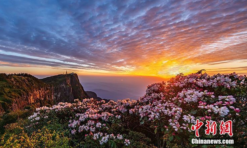 The photo taken on May 27 shows the Summit of Ten Thousand Buddhas at the highest peak of Mount Emei in southwest China's Sichuan Province. (Photo provided to China News Service) 