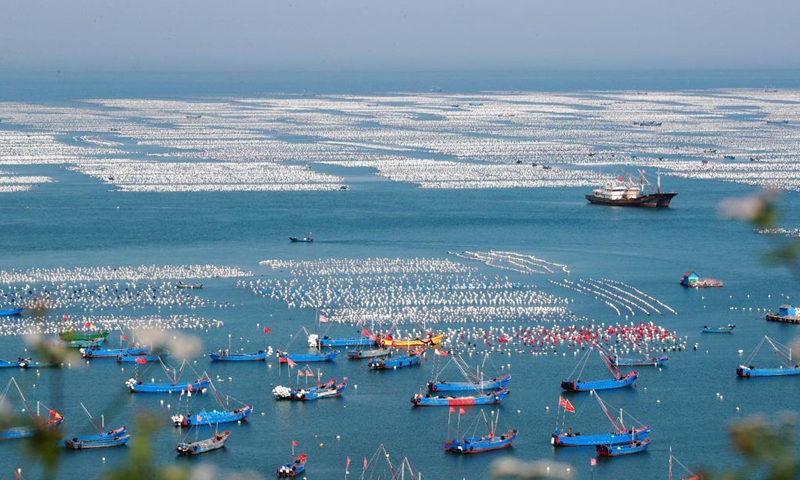 Aerial photo taken on May 30, 2021 shows a mussel breeding base in Shengsi County of Zhoushan City, east China's Zhejiang Province. (Photo by Yao Feng/Xinhua)