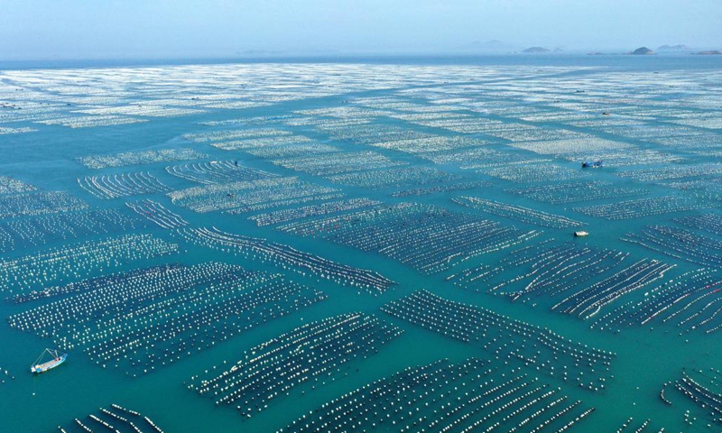 Aerial photo taken on May 30, 2021 shows a mussel breeding base in Shengsi County of Zhoushan City, east China's Zhejiang Province. (Photo by Yao Feng/Xinhua)