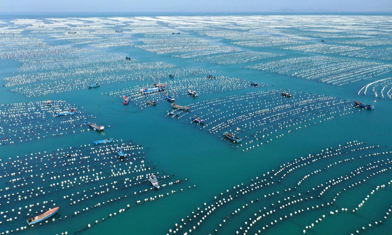 Aerial photo taken on May 30, 2021 shows a mussel breeding base in Shengsi County of Zhoushan City, east China's Zhejiang Province. (Photo by Yao Feng/Xinhua)