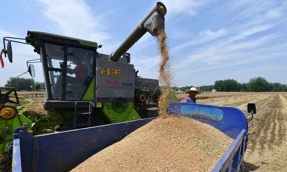 A farmer operates agricultural machinery to harvest wheat in Fuyang, East China's Anhui Province on Monday. As summer harvest season arrives, farmers in Fuyang are stepping up efforts to bring in the crops. Photo: cnsphoto 
