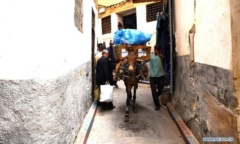 A mule transports goods in the old city of Fez, Morocco, May 31, 2021. Donkeys and mule are still used to transport goods in the old city of Fez, where narrow alleys prevent vehicles from passing.(Photo: Xinhua)