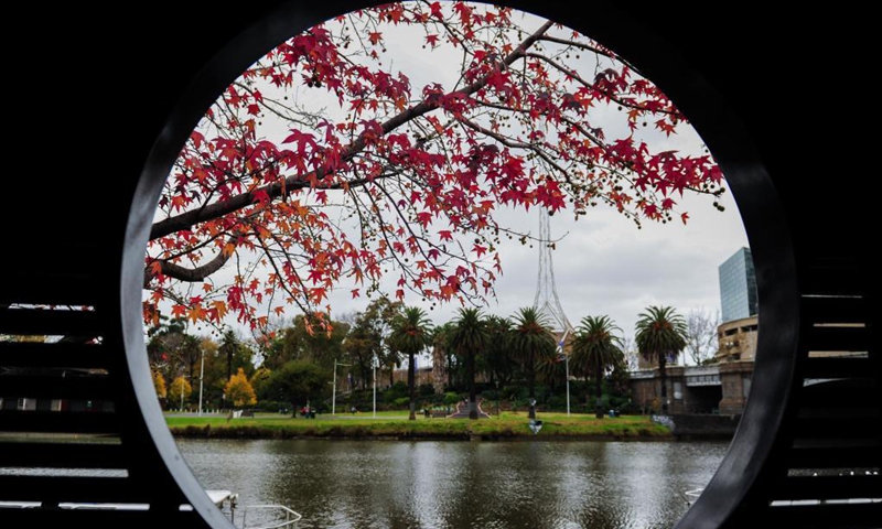 Photo taken on May 28, 2021 shows a view in Melbourne, Australia. The Australian state of Victoria went into the fifth day of its lockdown on Tuesday with the number of COVID-19 cases in the latest outbreak having risen to 54.Photo:Xinhua 