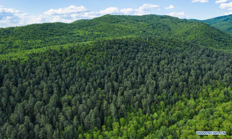 Aerial photo taken on June 2, 2021 shows the scenery of a national forest park in Yichun, northeast China's Heilongjiang Province. (Xinhua/Xie Jianfei)
