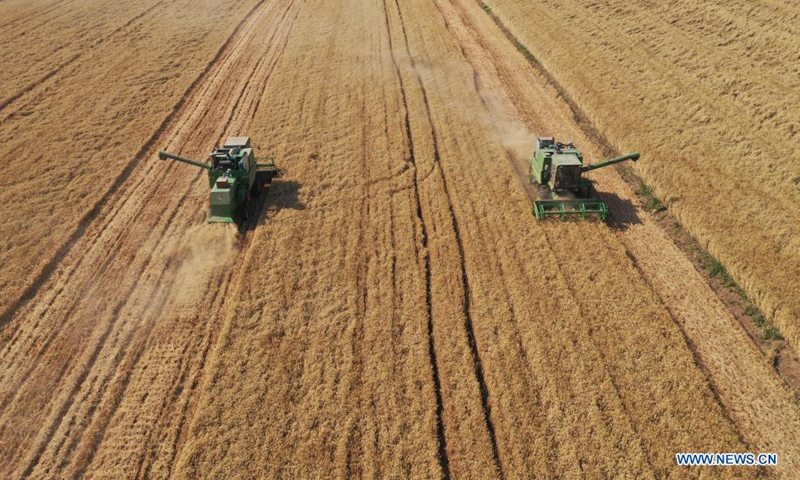 Aerial photo taken on June 6, 2021 shows wheat-reaping harvesters at work in Zhoukou, central China's Henan Province. Farmers have been busy with summer harvesting activities in Henan Province, a major wheat producing area. (Xinhua/Li Jianan)