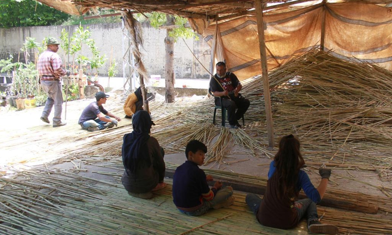 People prepare reeds to make handicrafts in the district of Koura, northern Lebanon, on June 5, 2021. The district of Koura is famous for its handicrafts made of reeds.(Photo: Xinhua)
