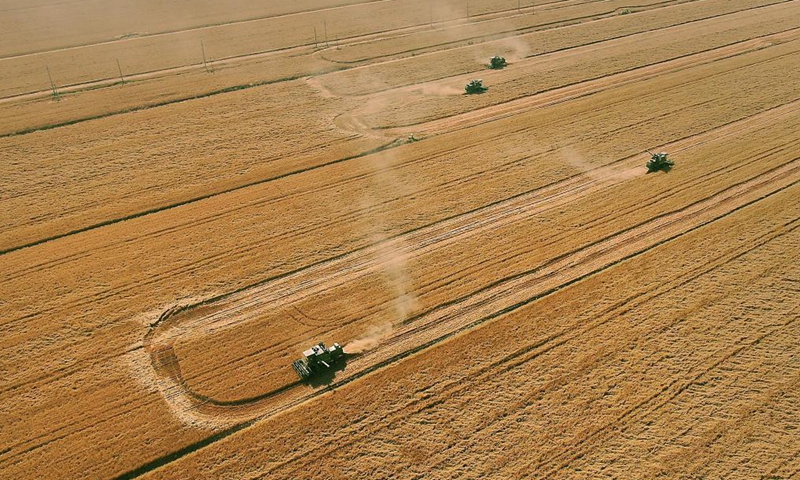 Aerial photo taken on June 6, 2021 shows wheat-reaping harvesters at work in Zhoukou, central China's Henan Province. Farmers have been busy with summer harvesting activities in Henan Province, a major wheat producing area. (Xinhua/Li Jianan)
