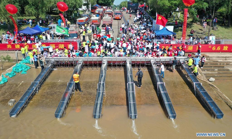 Aerial photo taken on June 6, 2021 shows people releasing fish fry at Juzizhou Park in Changsha, central China's Hunan Province. About 80.32 million fish fry were released into the Xiangjiang River in Changsha on Sunday. June 6 has been observed in China as the national fish releasing day to help promote ecological awareness.(Photo: Xinhua)