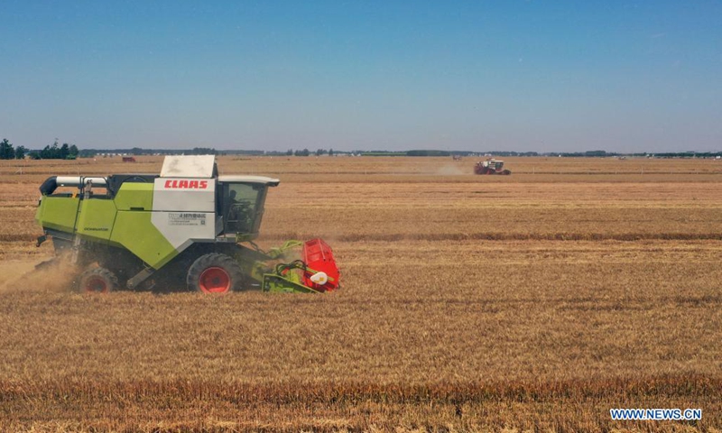 Photo taken with a drone on June 5, 2021 shows wheat-reaping harvesters at work in Zhoukou, central China's Henan Province. Farmers have been busy with summer harvesting activities in Henan Province, a major wheat producing area. (Xinhua/Li Jianan)