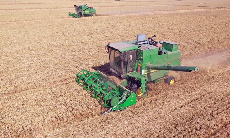 Aerial photo taken on June 6, 2021 shows wheat-reaping harvesters at work in Zhoukou, central China's Henan Province. Farmers have been busy with summer harvesting activities in Henan Province, a major wheat producing area. (Xinhua/Li Jianan)